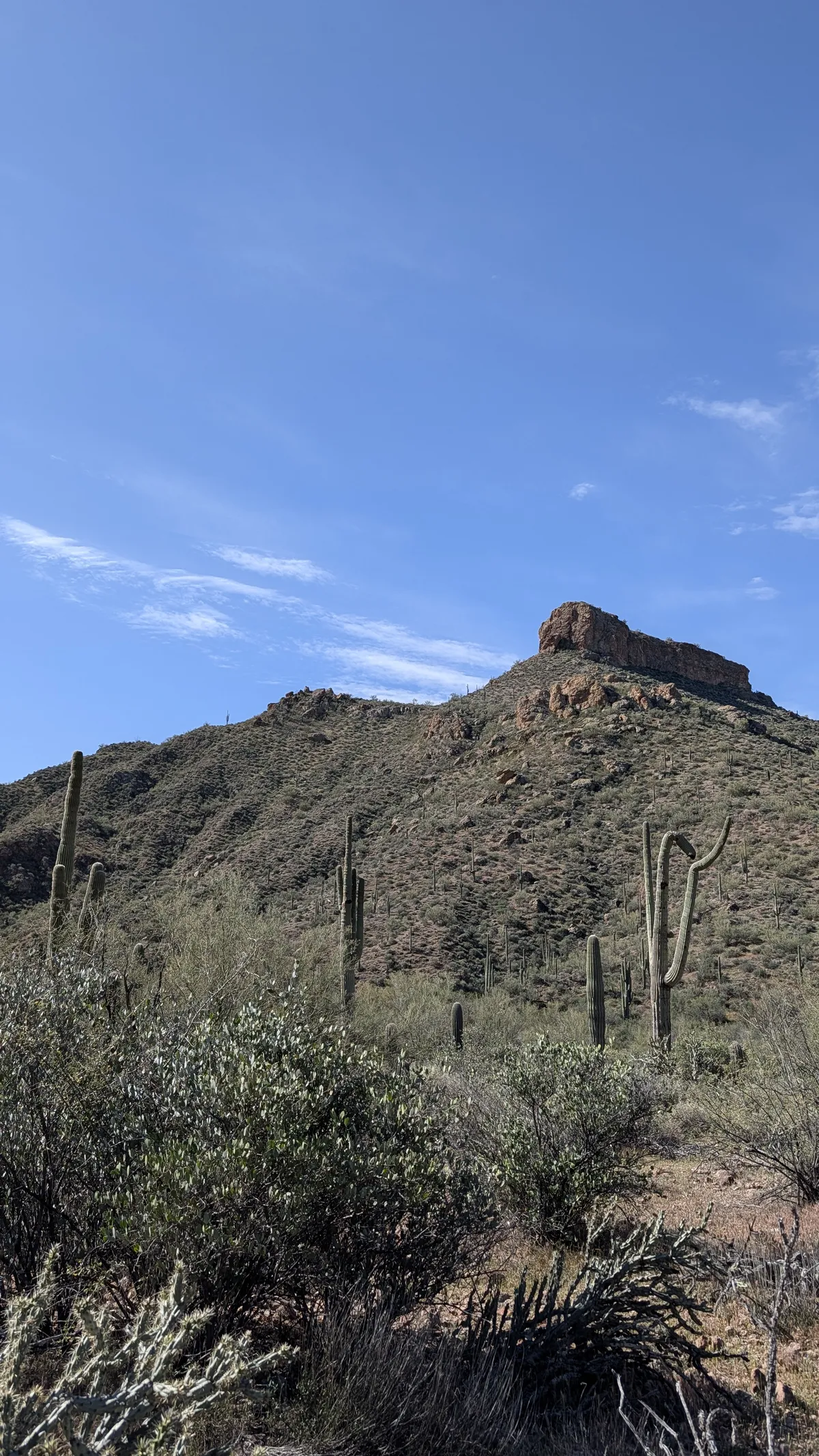 PXL_20260307_171508911