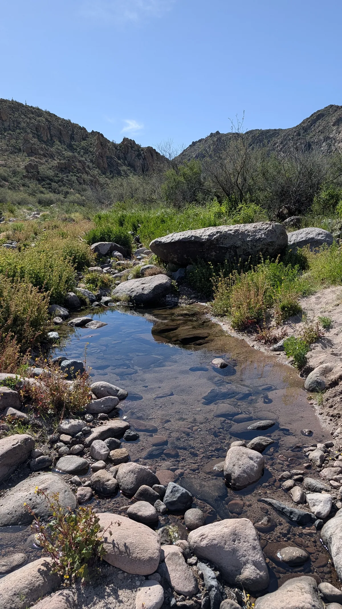 PXL_20260307_174309187