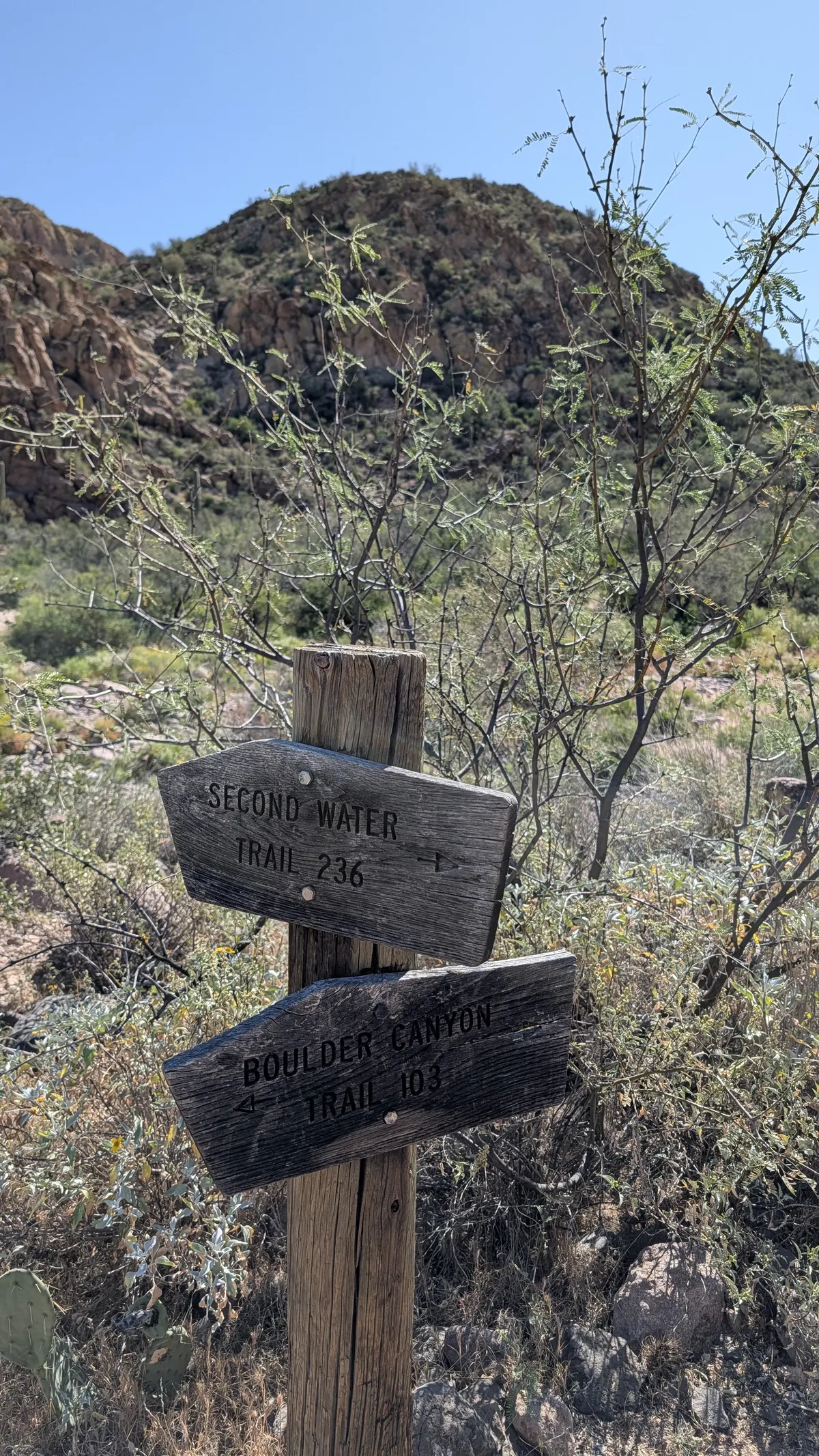 PXL_20260307_175237702