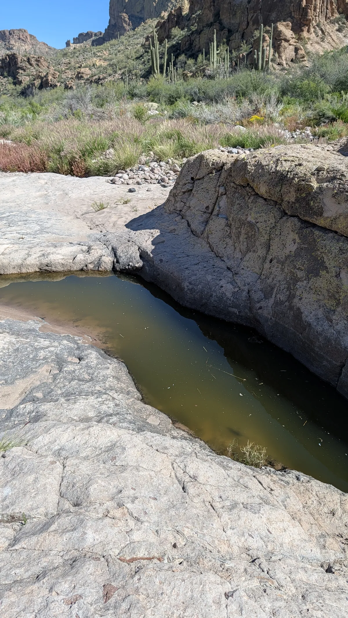 PXL_20260307_175353385