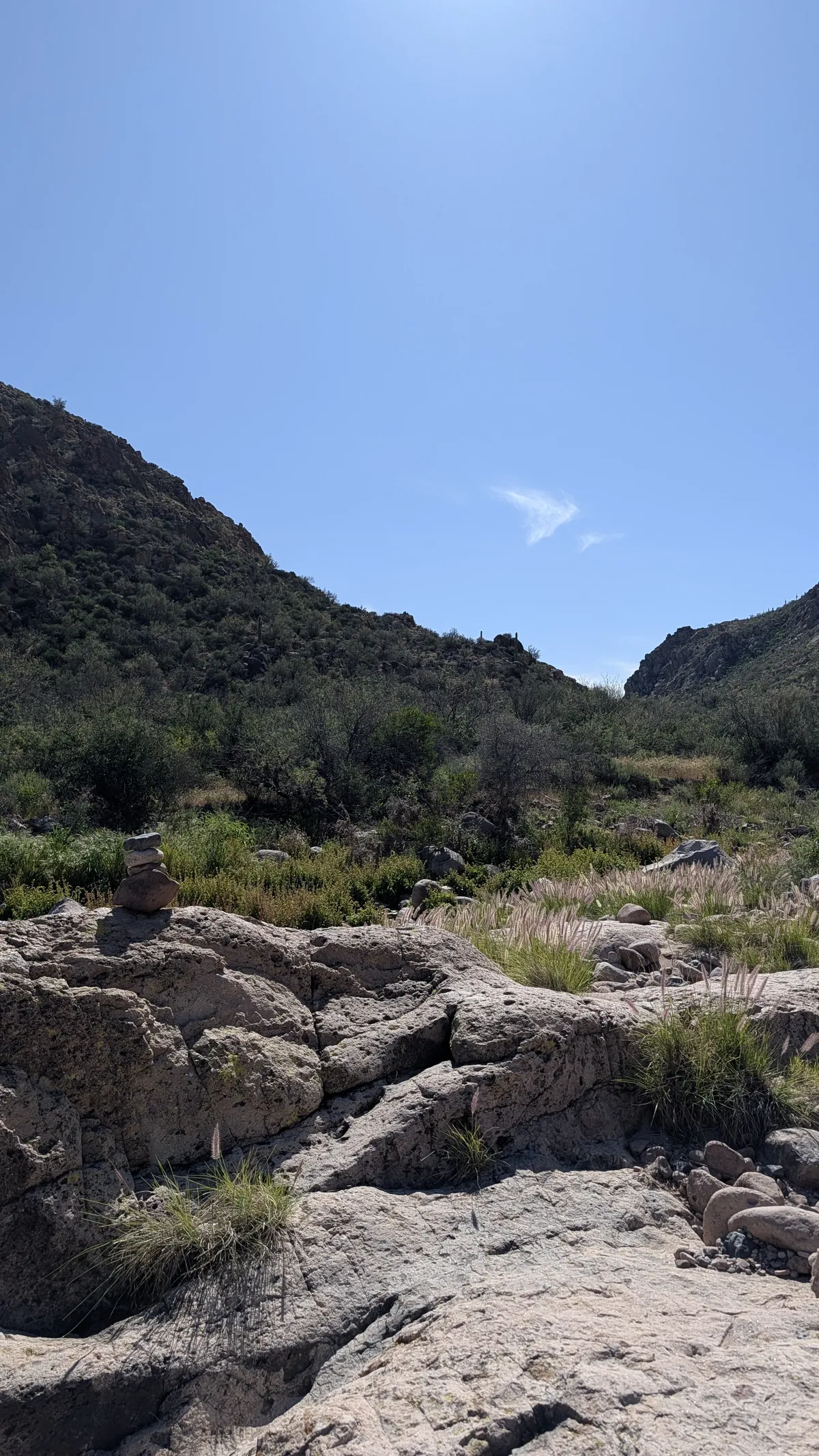 PXL_20260307_175355706