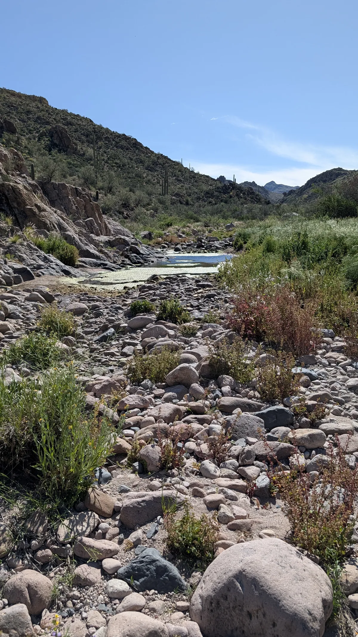 PXL_20260307_180953630