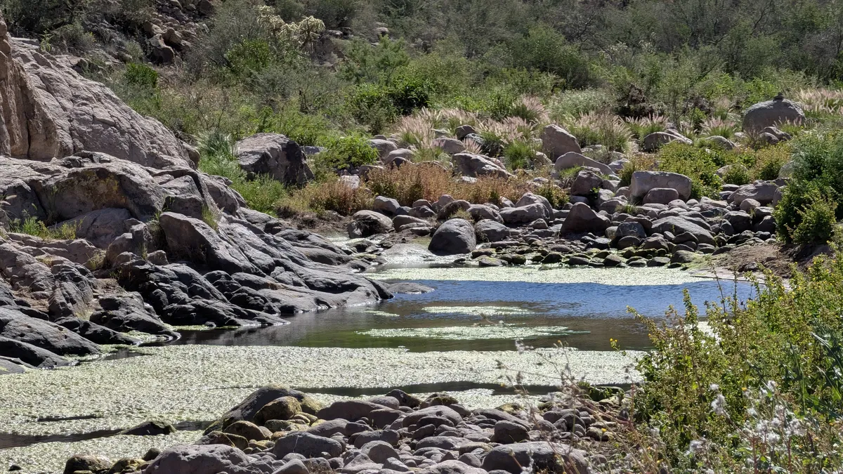 PXL_20260307_180959014