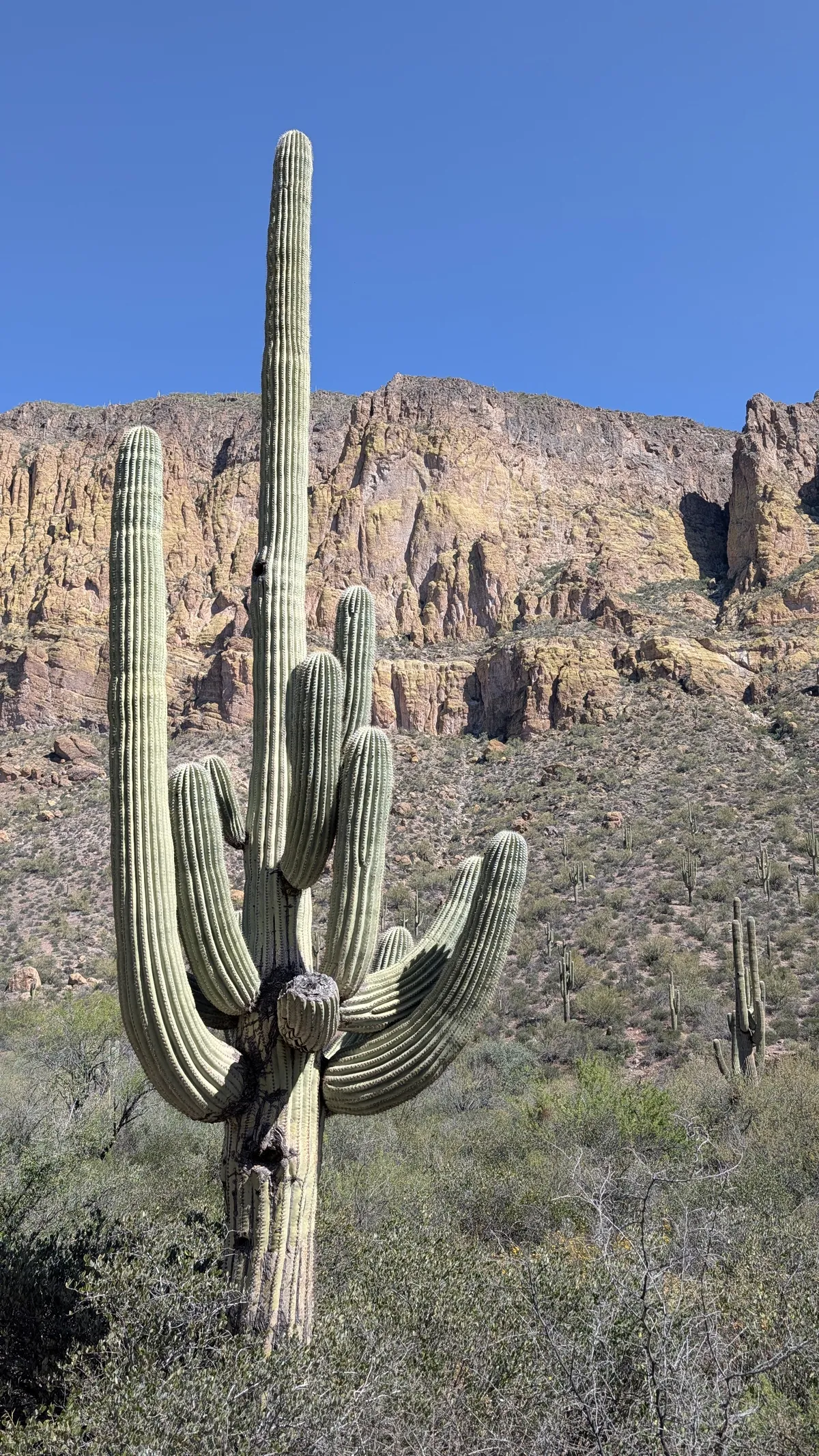 PXL_20260307_200056442