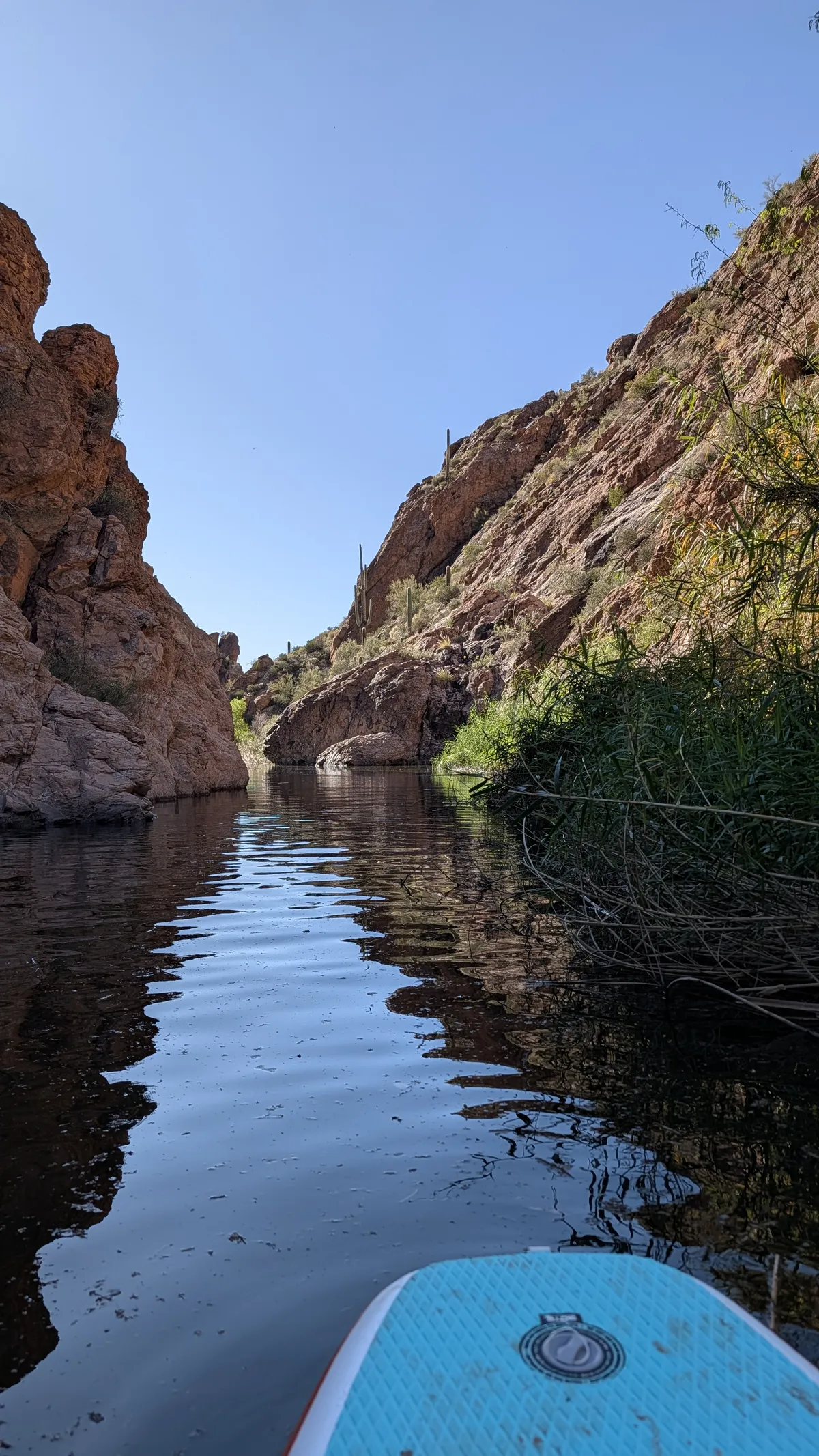 PXL_20260307_224918061