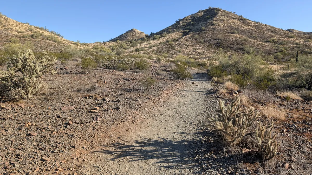 PXL_20260403_145458018