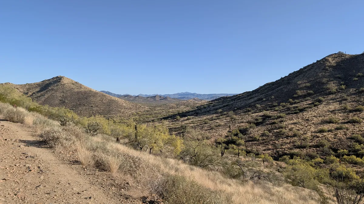 PXL_20260403_150316961