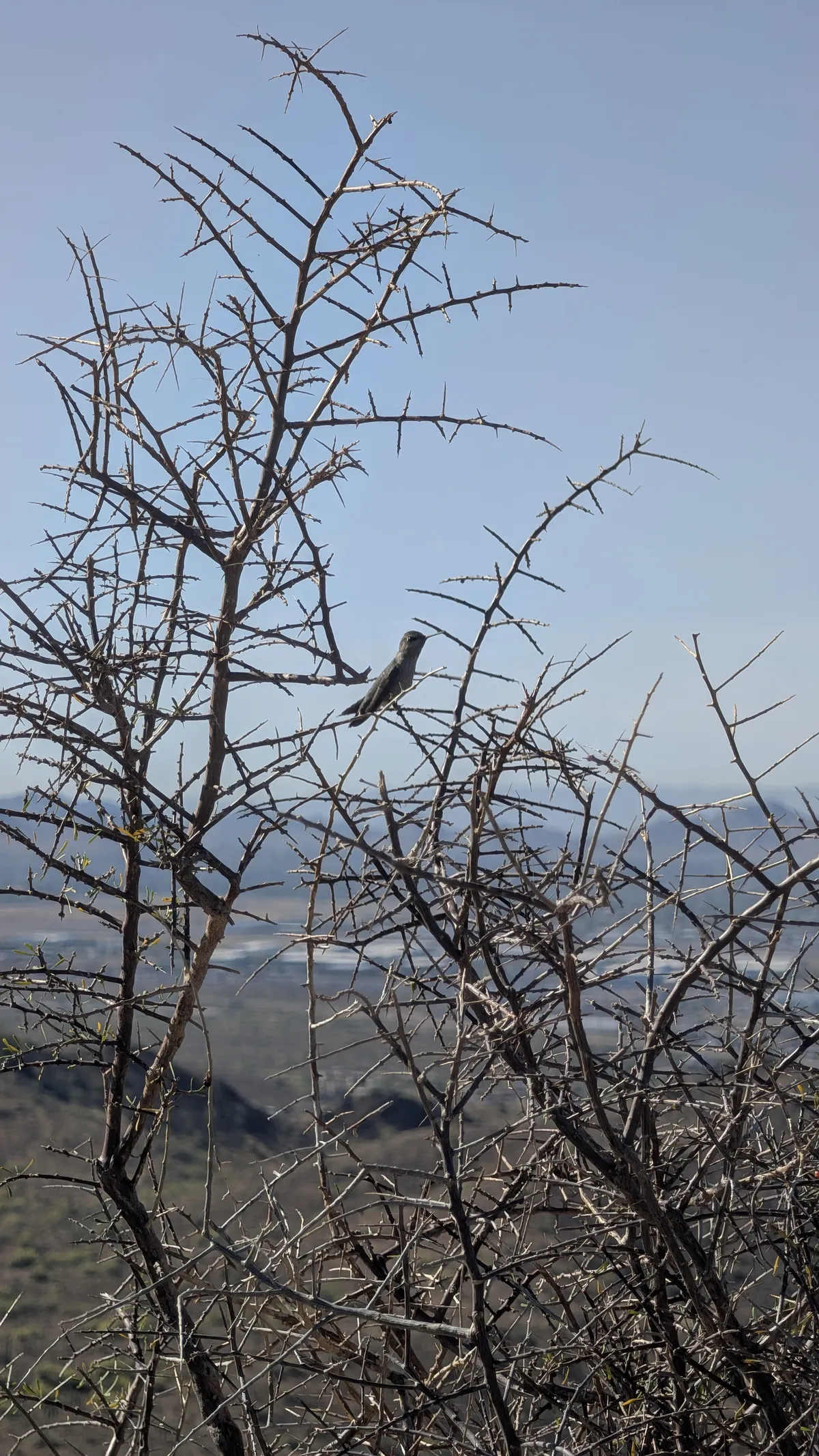 PXL_20260403_160622888