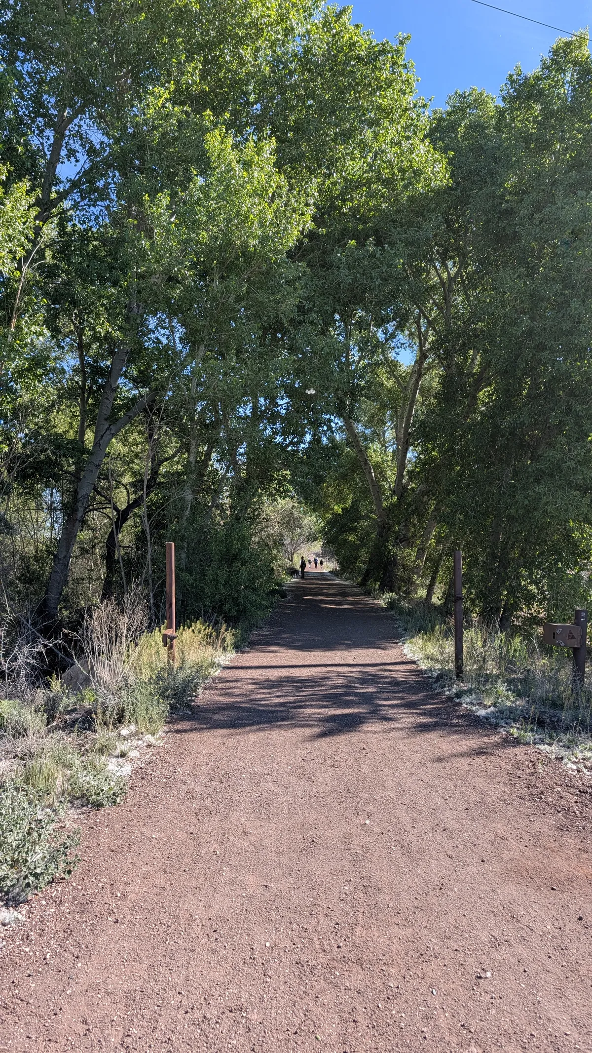 PXL_20260404_161804032