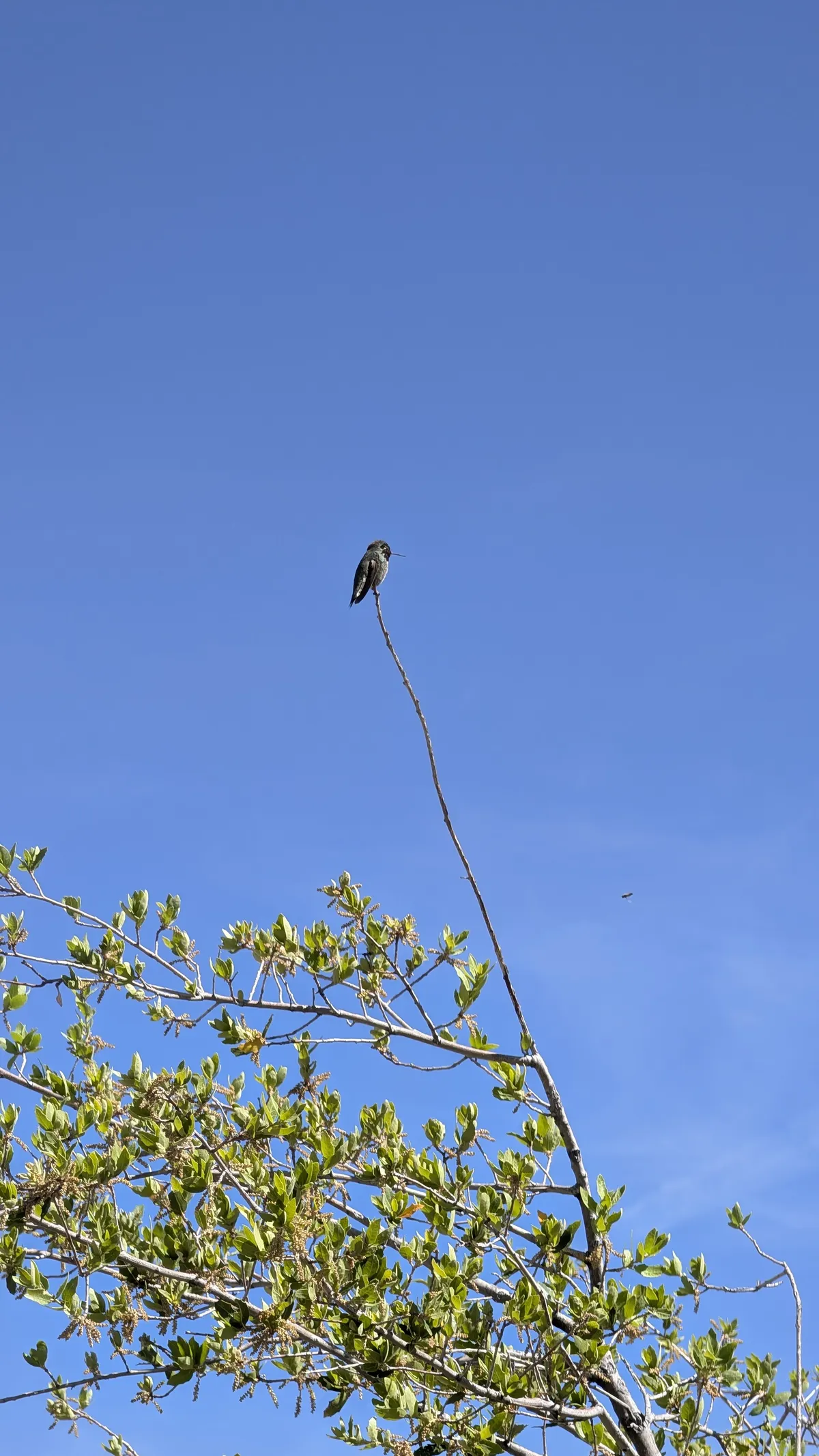 PXL_20260404_171714413