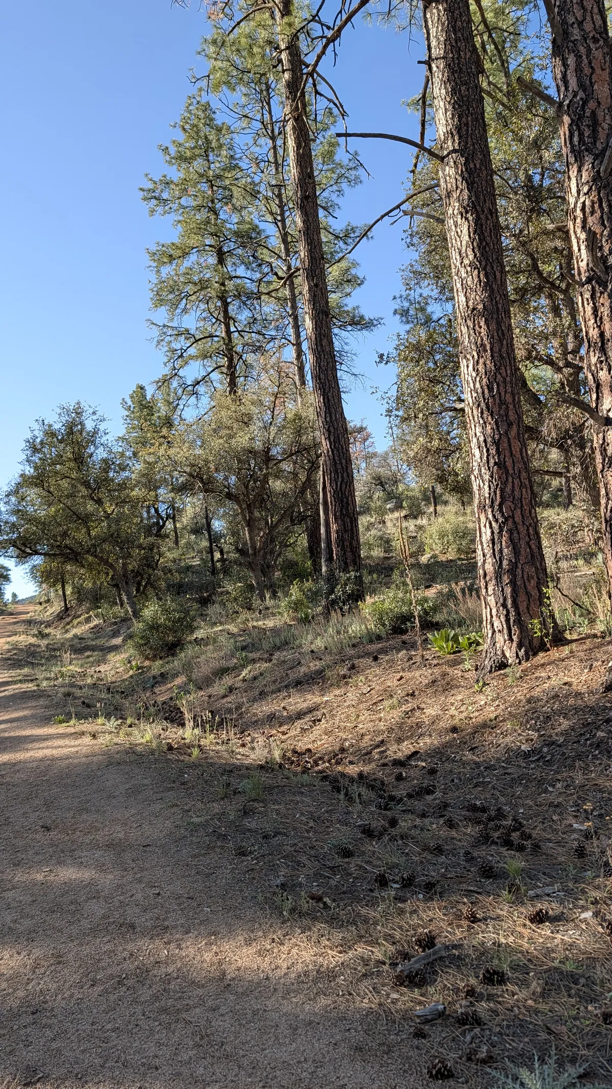 PXL_20260405_151208369