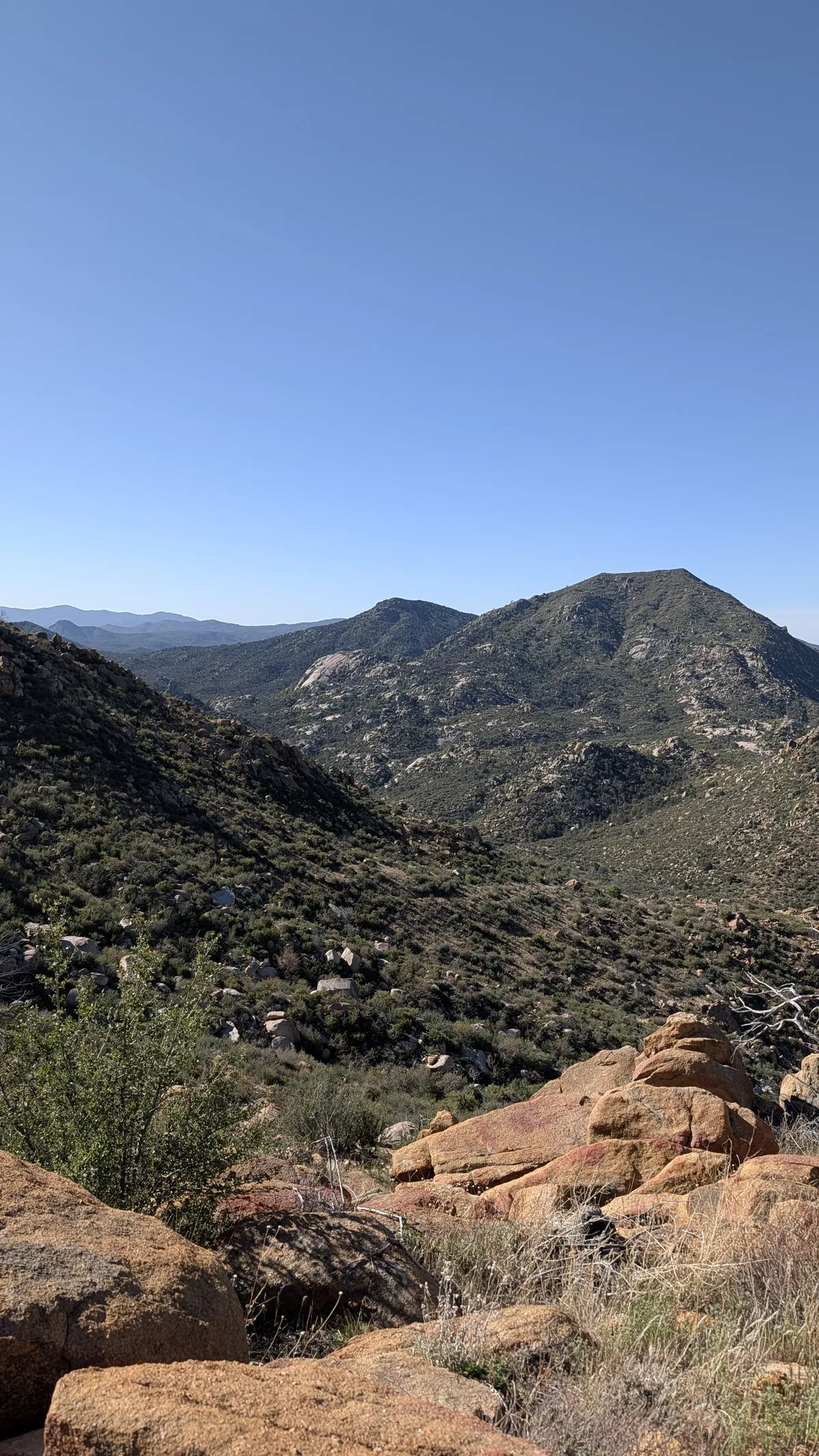 PXL_20260405_155648960