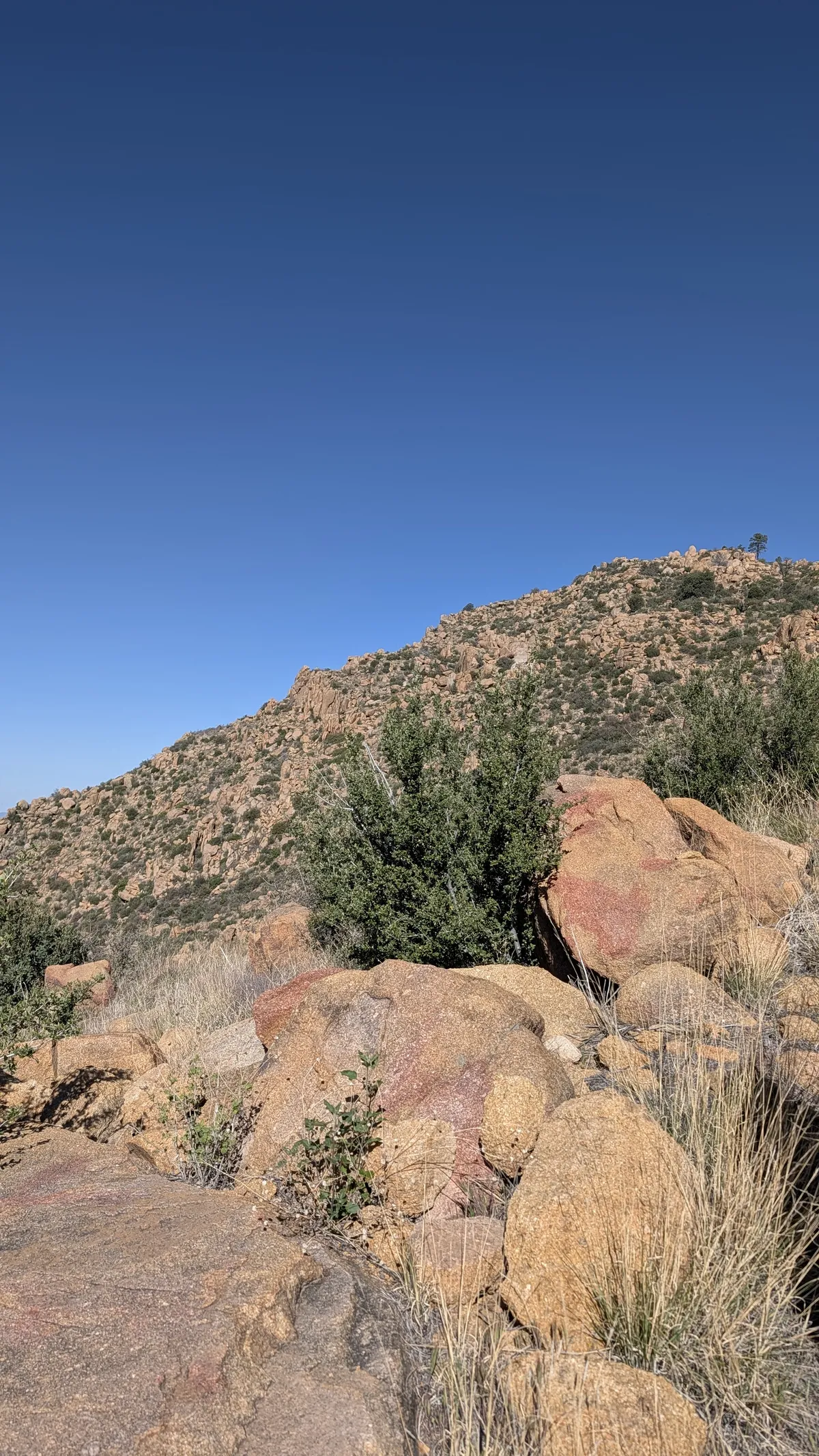 PXL_20260405_155653022