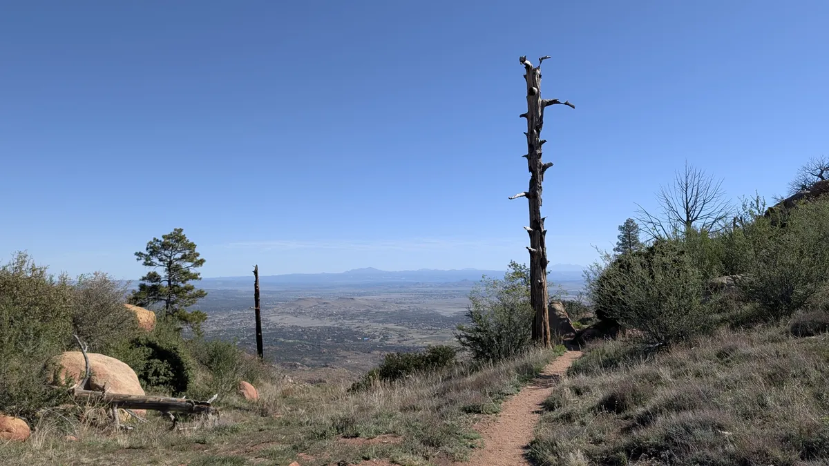 PXL_20260405_160934735