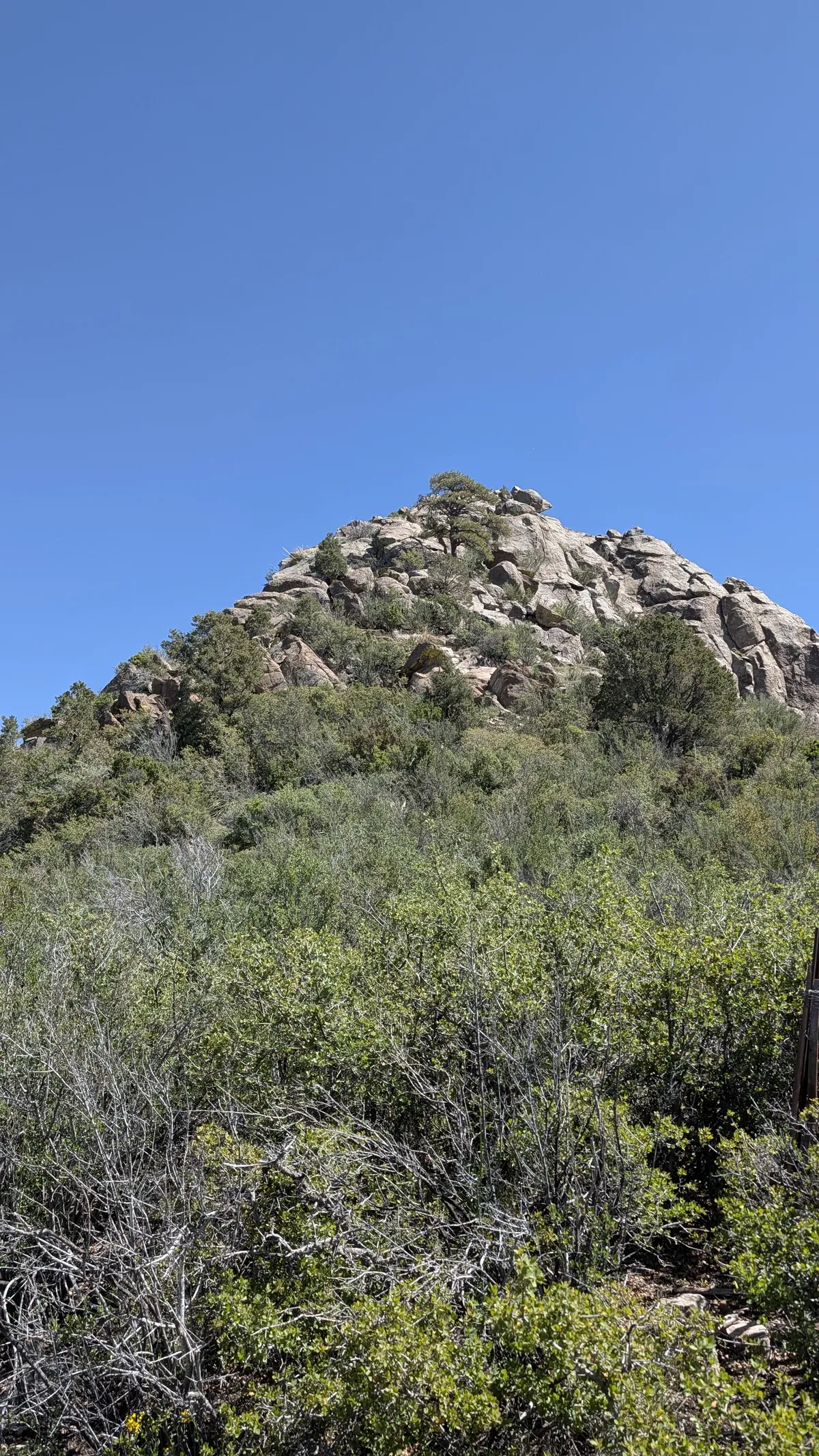 PXL_20260405_182118102