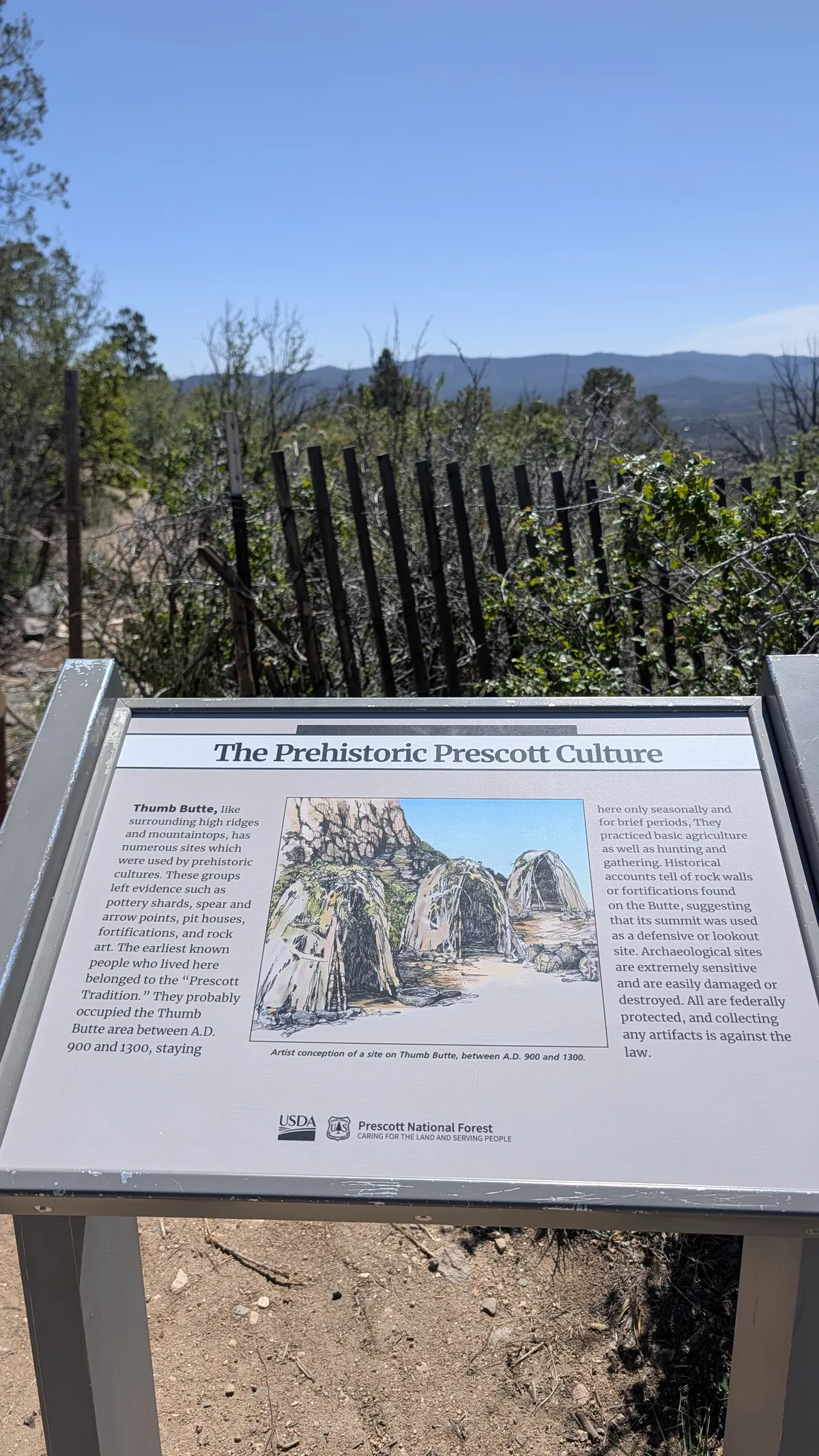 PXL_20260405_182122406