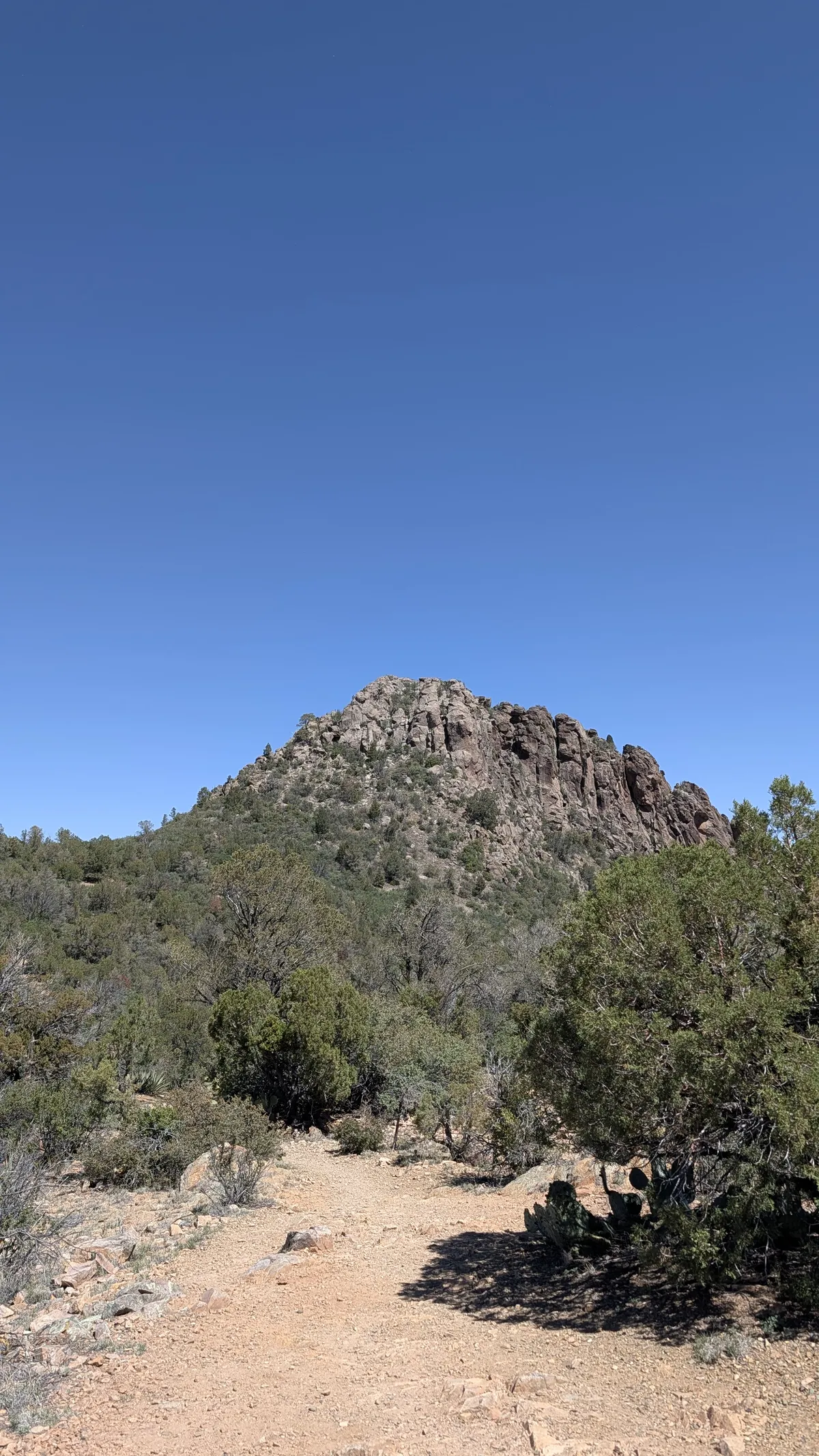 PXL_20260405_182659983