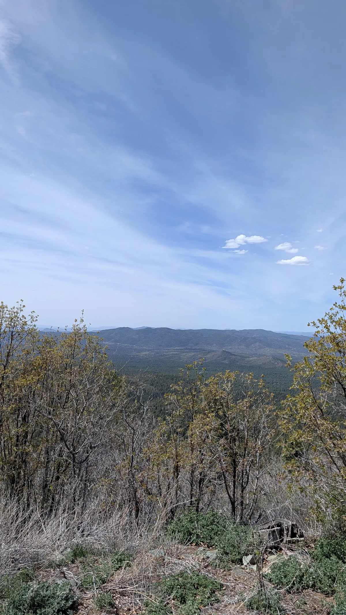 PXL_20260405_202609482