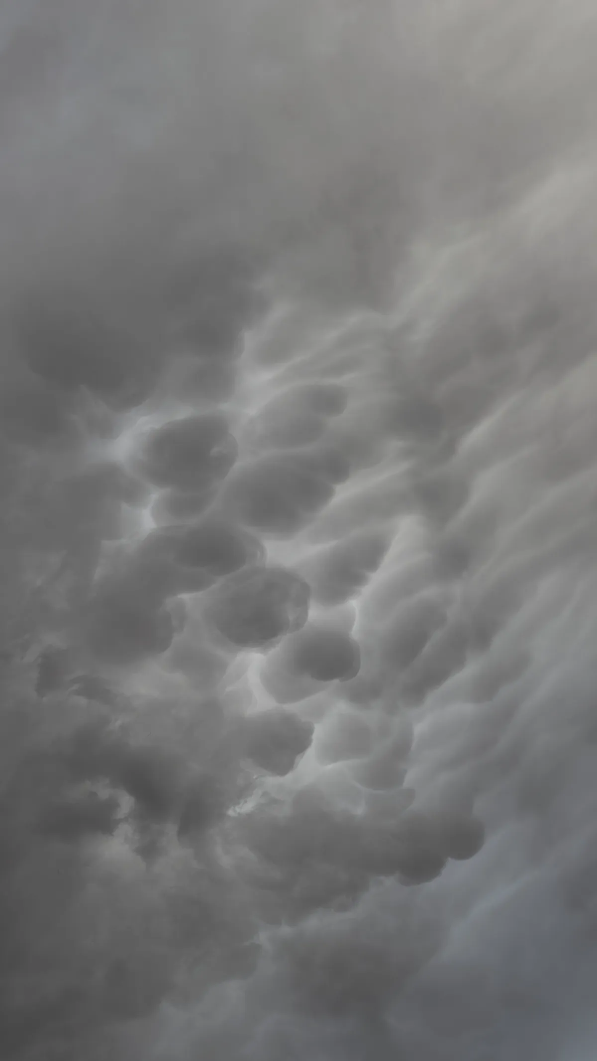 PXL_20260411_011210439