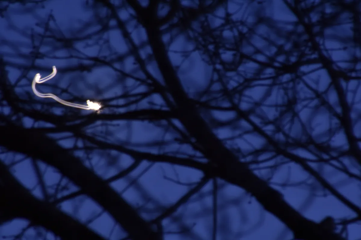 venus_2025-02-18
