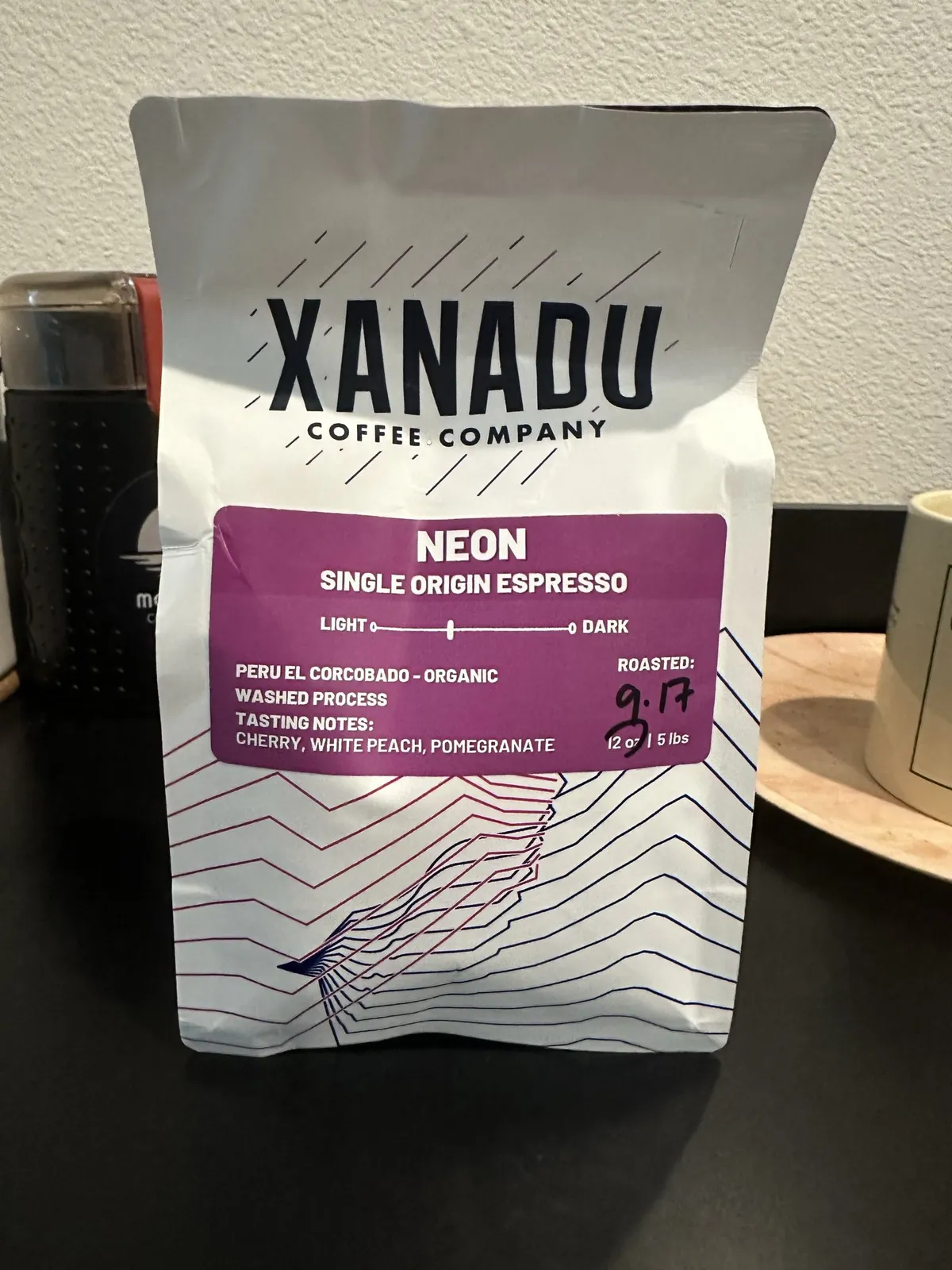 Xanadu Neon