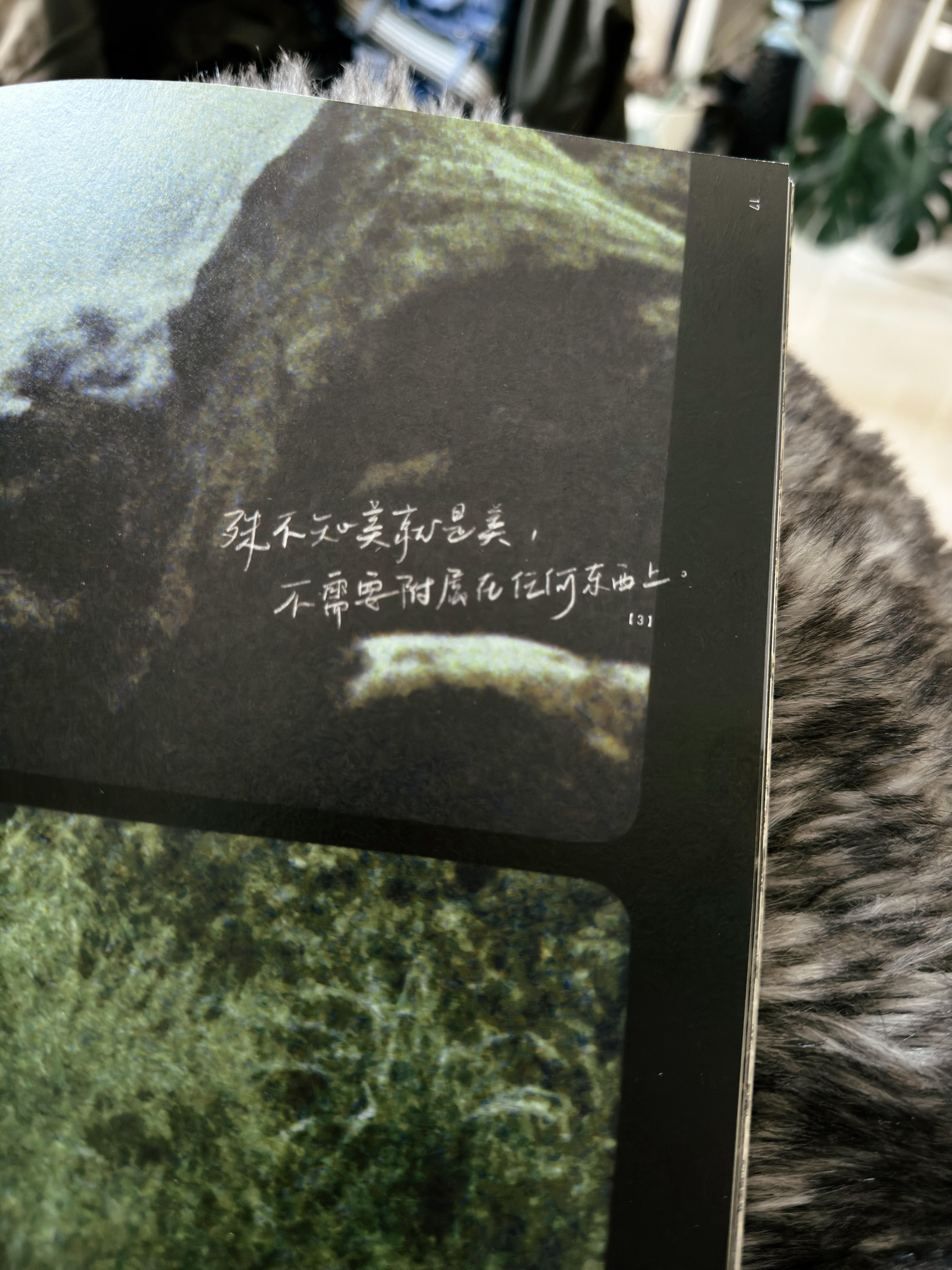 20250530-摄影的意义 4