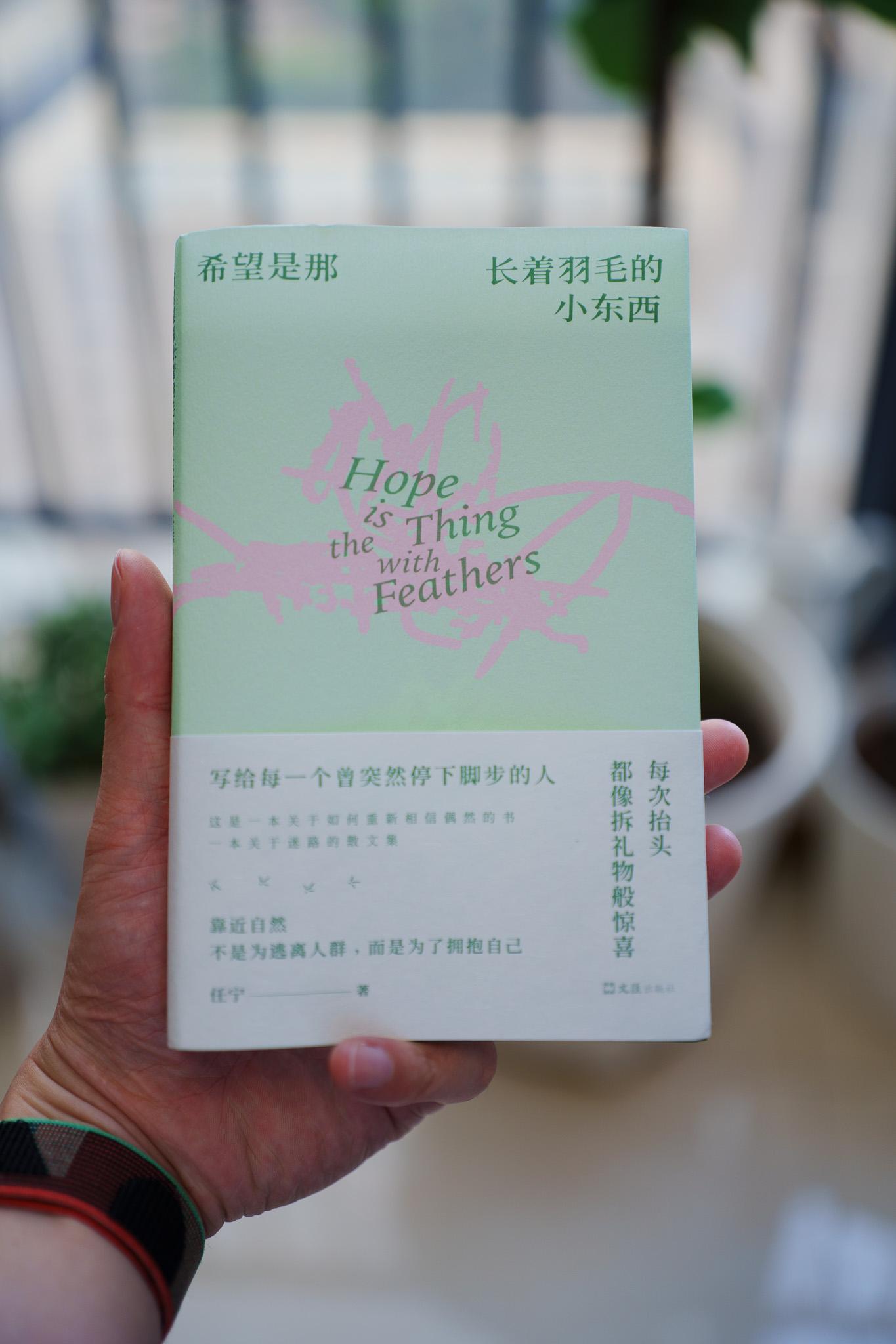《希望是那长着羽毛的小东西》