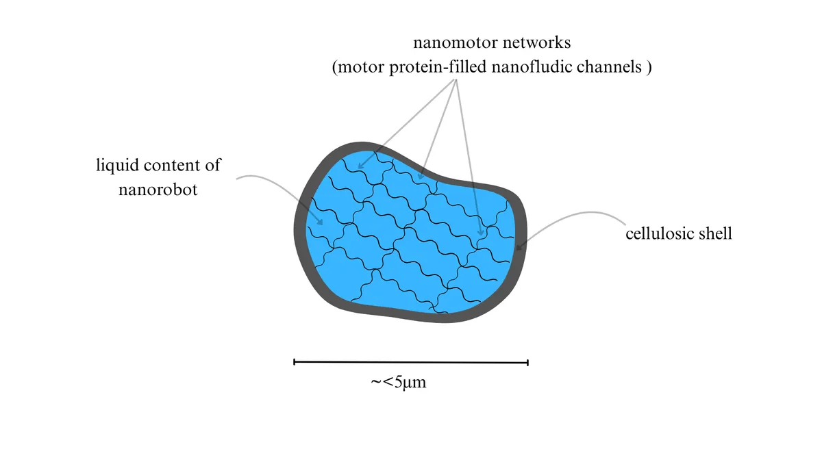 Assembly Sequence For a Medical Nanorobot 