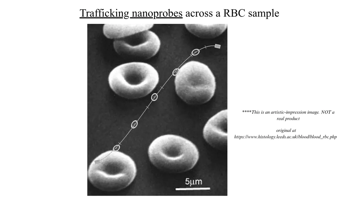 General design of a nanoprobe