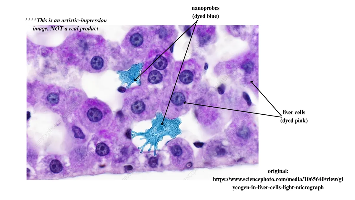 Theoratical geallery of Medical Nanorobots (3)