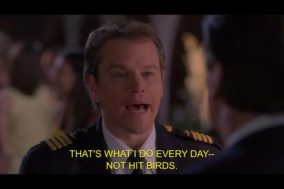 not_hit_birds