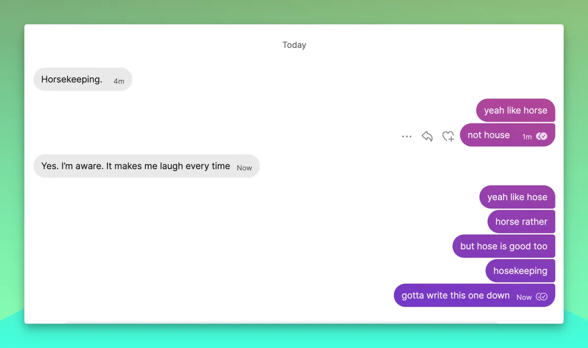 shotva-horsekeeping like horse