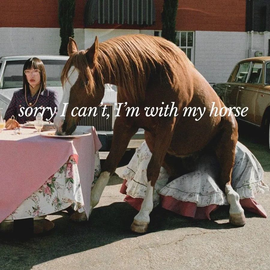 sorry_with_horse