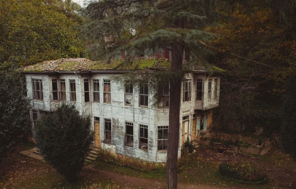 Aerial view of a mysterious abandoned wooden house enveloped by dense foliage in autumn.