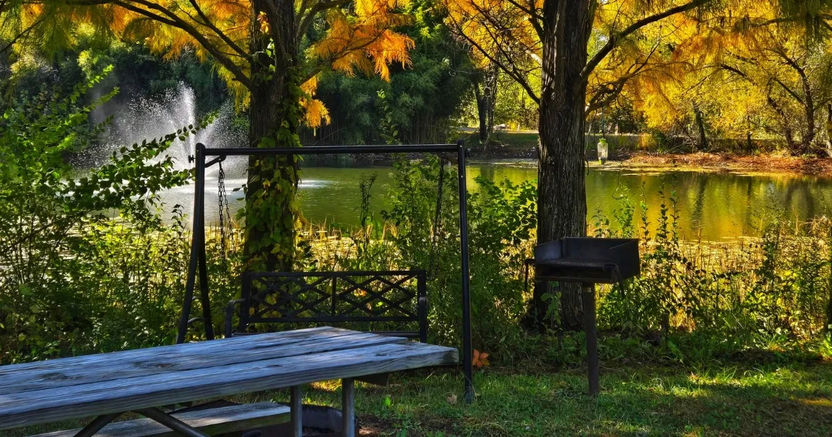 The View from my campsite