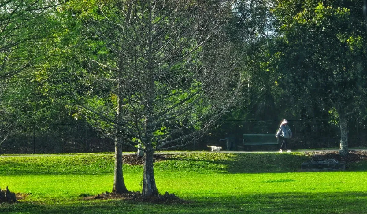A lady trying to escape an extra affectionate random cat at the park