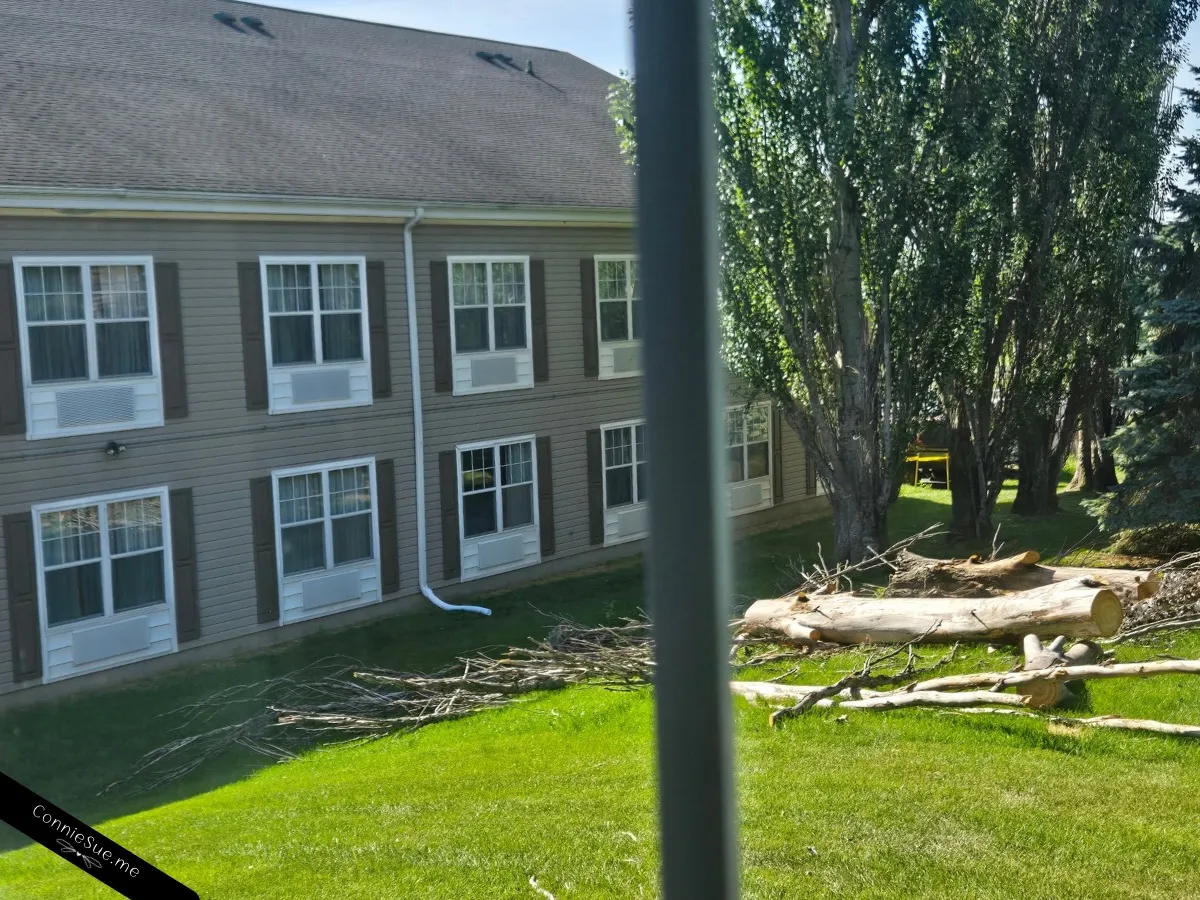 A look to the left outside my hotel room window July 2026