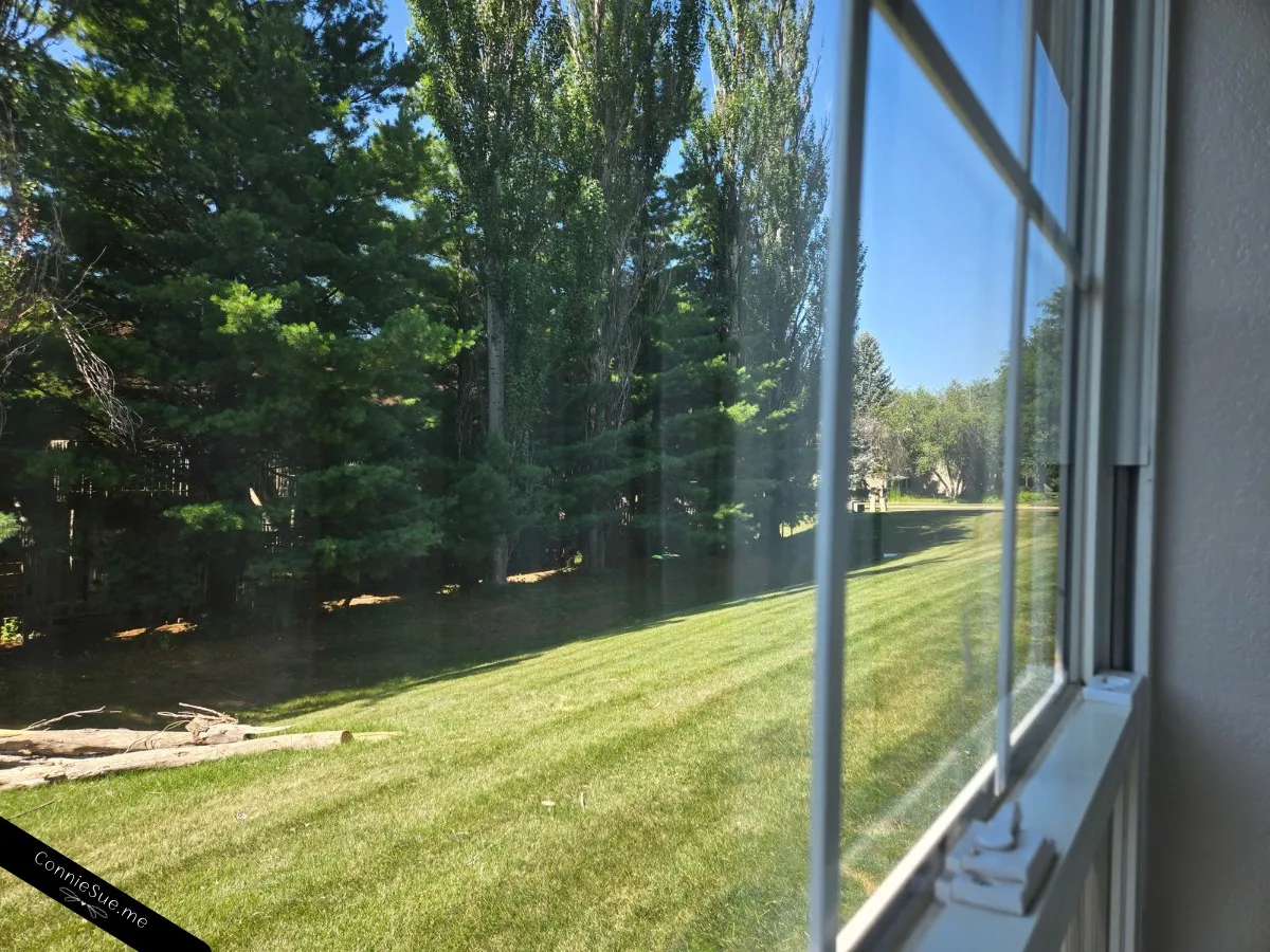A look to the right outside my hotel room window July 2026