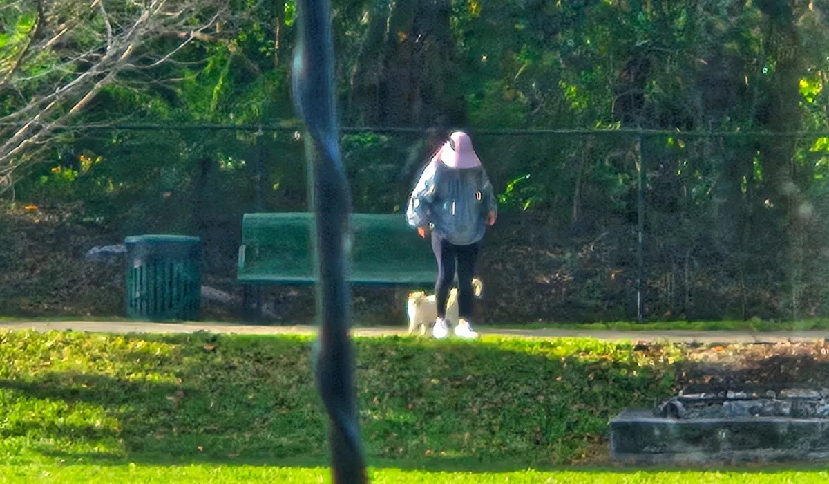 A random cat hijacks a lady just trying to take a walk in the park