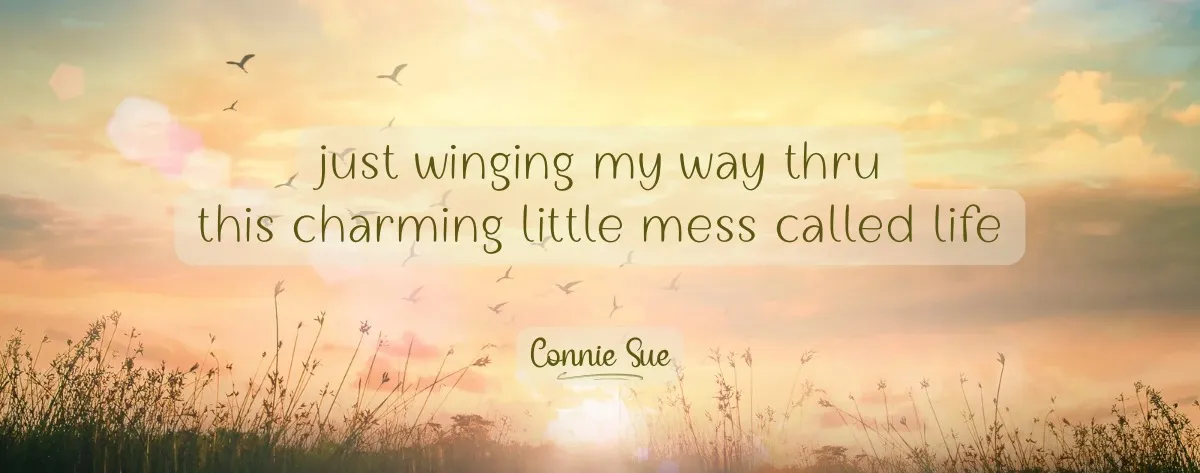 Just winging my way thru this charming little mess called Life - Connie Sue