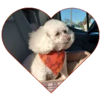 Cookie