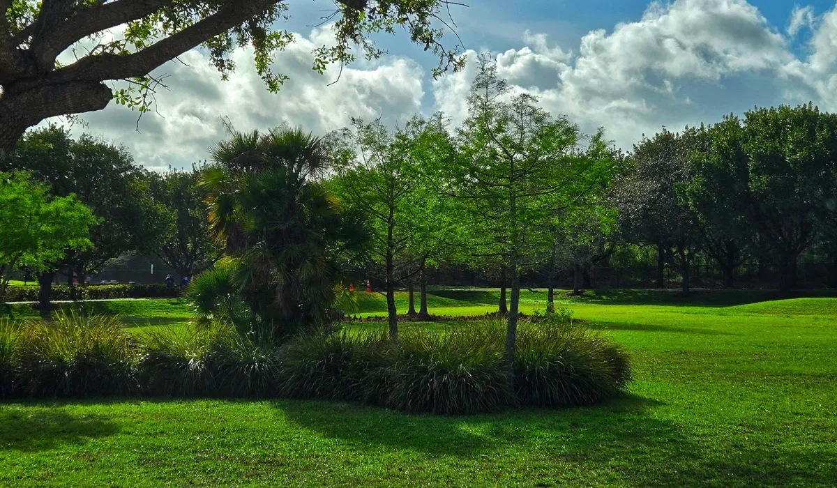 Mayor Roscoe Warren Municipal Park
