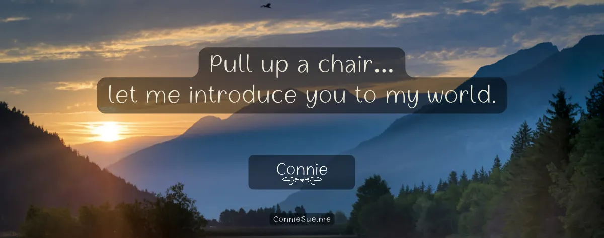 Meet the regulars 4-26