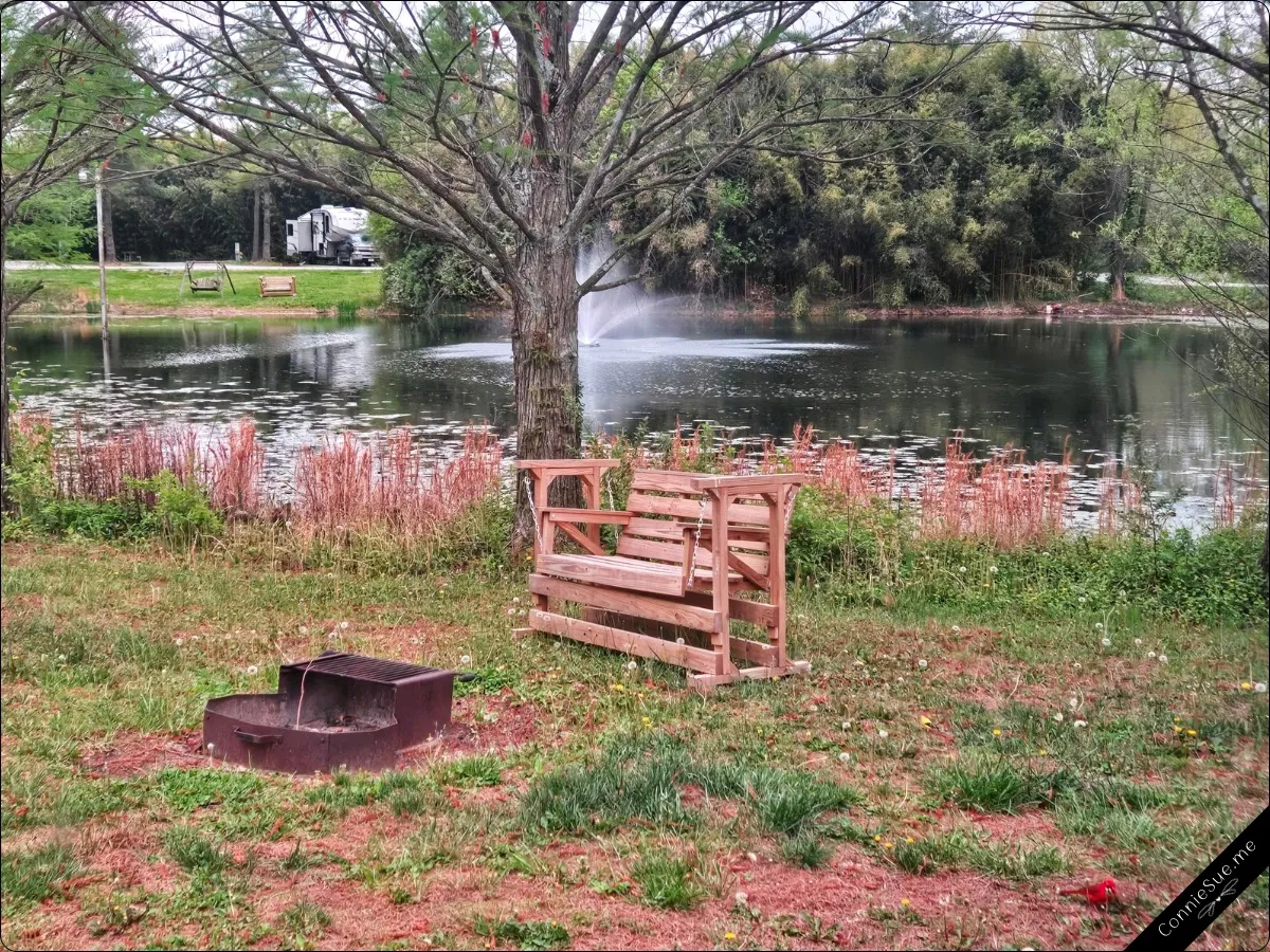 Morning Views - The morning view from my campsite