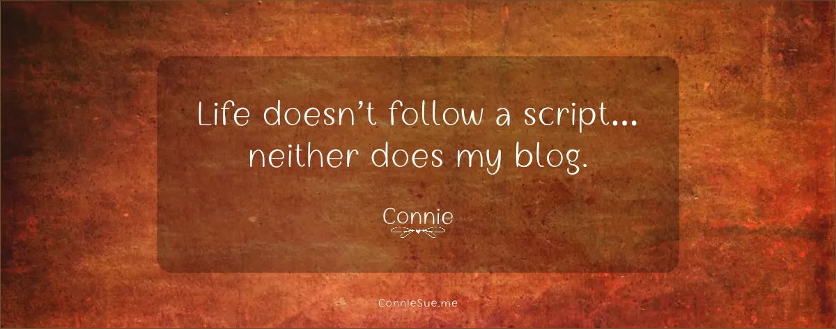 Life doesnt follow a script