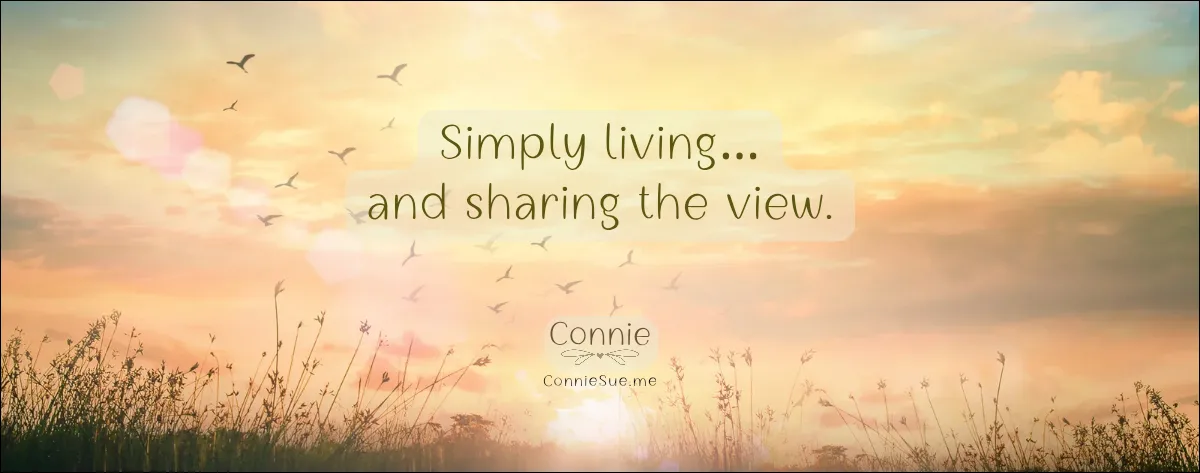 Simply living and sharing the view 4-26