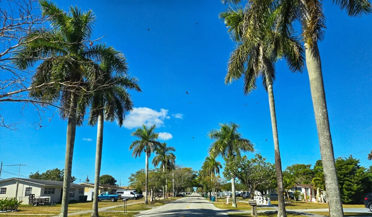 Driving down an unfamiliar street - south Florida