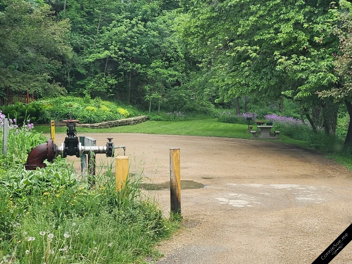 The Cove