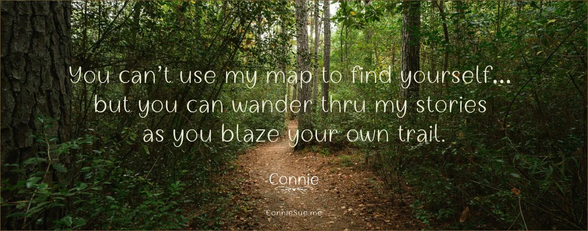 You cant use my map to find yourself 4-26