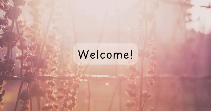 Welcome to Connie Sue Says